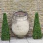 60cm Boxwood Obelisk