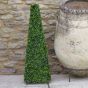 60cm Boxwood Obelisk