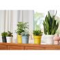 Elho B. for Original Round Mini 7cm Living Black