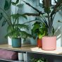 Elho B. for Soft Round 18cm Delicate Pink