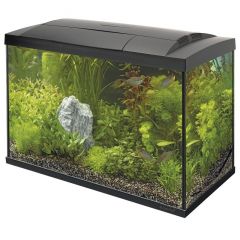 SuperFish Start 100 Tropical Kit - Black