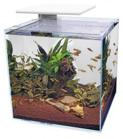 SuperFish QubiQ 30 PRO Aquarium - White