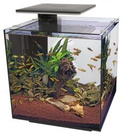 SuperFish QubiQ 30 PRO Aquarium - Black