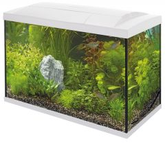 SuperFish Start 70 Tropical Kit - White