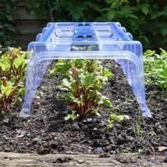 Smart Garden GroZone Clear Cloche