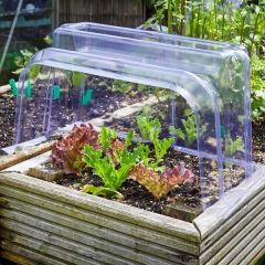 Smart Garden GroZone Clear Cloche Ends