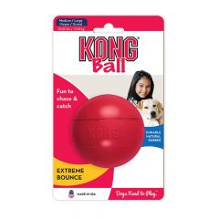 KONG Goodie Bone Small