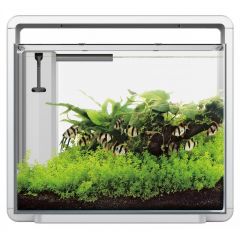 SuperFish Home 45 Aquarium - White