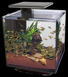 SuperFish QubiQ 60 PRO Aquarium - Black