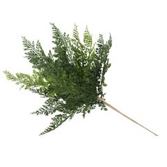 ENJOi Spring Fern Indoor Artificial Plant 40cm