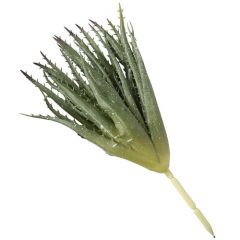 ENJOi Aloe Green Indoor Artificial Plant 27cm