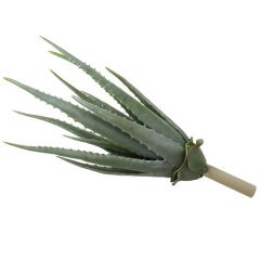 ENJOi Aloe Middle Green Indoor Artificial Plant 43cm