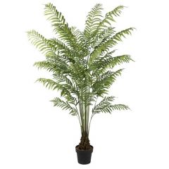 ENJOi Cyathea Spp Tree Indoor Artificial Plant 180cm