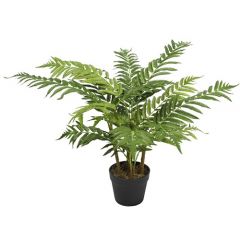 ENJOi Cyathea Spp Tree Indoor Artificial Plant 80cm