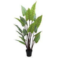 ENJOi Rainbow Taro Indoor Artificial Plant 155cm
