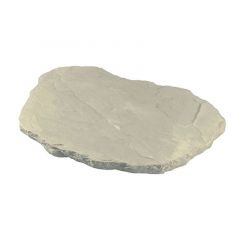 Oriental Ash