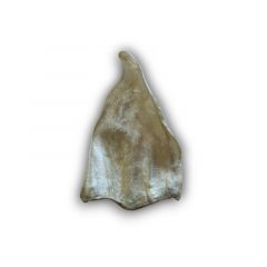 Anco Natural Cow Ear Loose