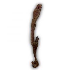 Anco Beef Tendon Loose