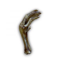 Anco Goose Foot Loose