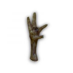 Anco Chicken Foot Loose