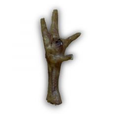 Anco Puffed Chicken Foot Loose