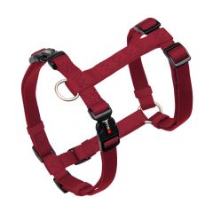 Wolters Professional Harness