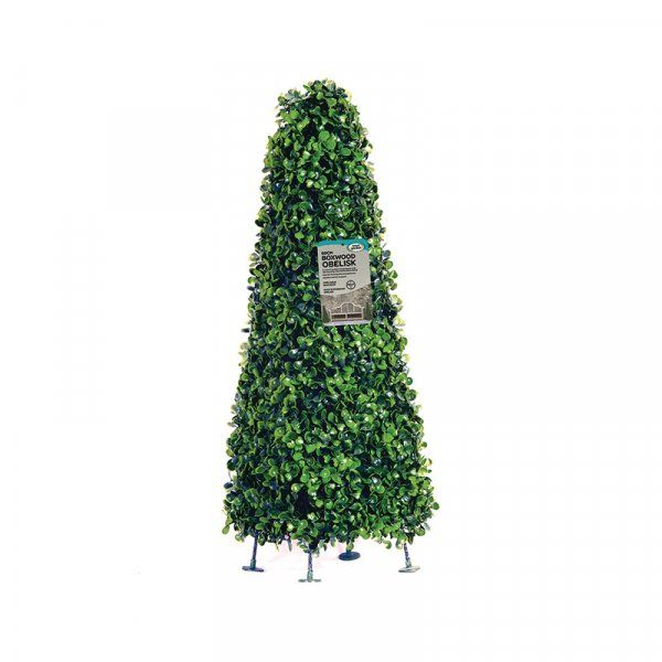 60cm Boxwood Obelisk