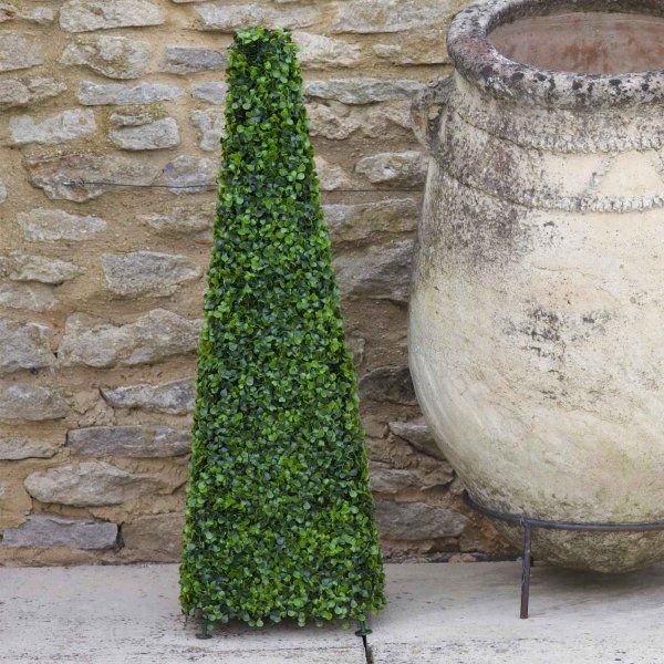 60cm Boxwood Obelisk