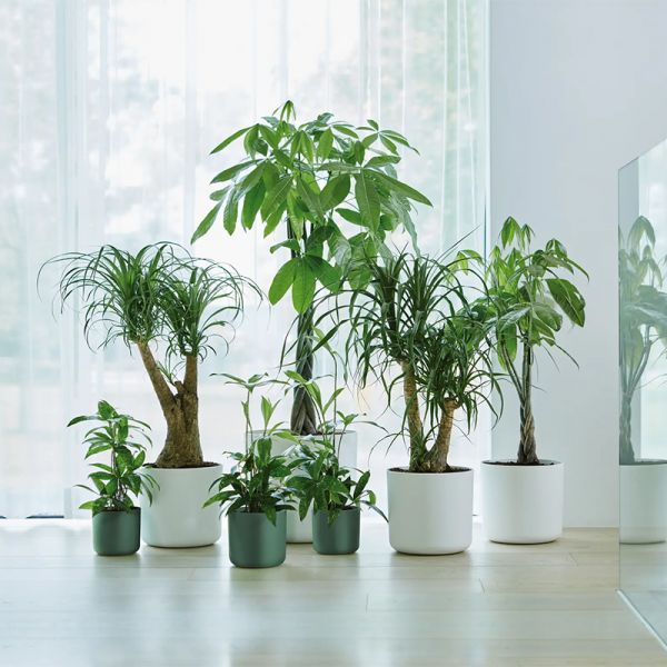 Elho B. for Soft Round 14cm Leaf Green