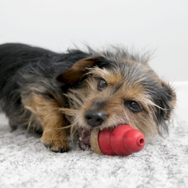KONG Peanut Butter Marathon 2pk