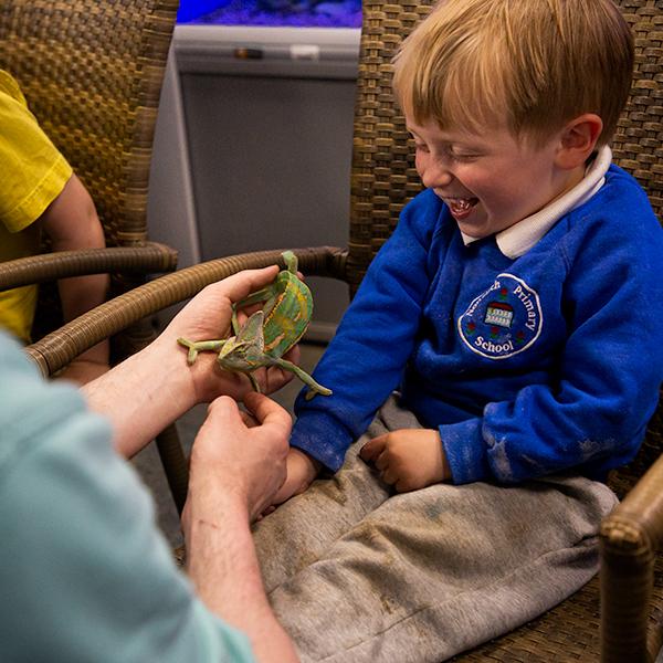 Childrens Activities in Chessington Garden Centre