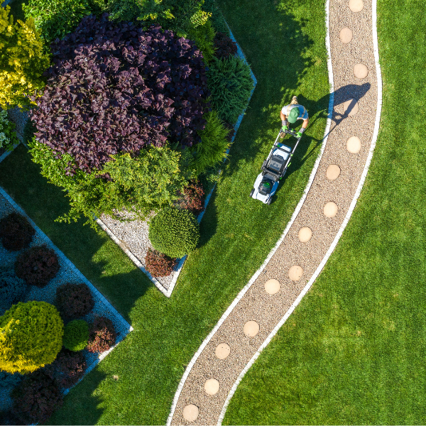 Your 12 Month Calendar Guide to Lawn Care