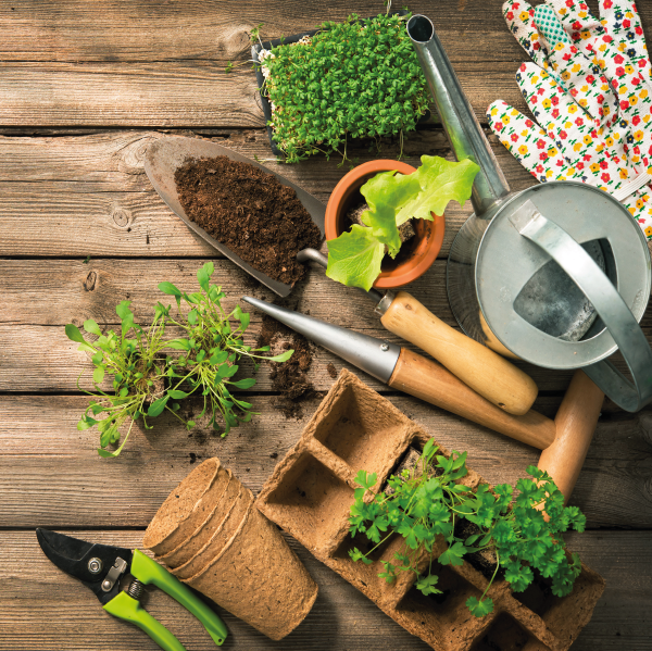 Get Your Garden Ready For Summer