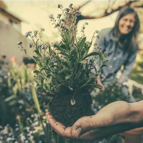 New Year, New Garden Projects